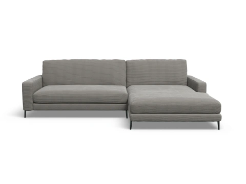 LOXL Medium R